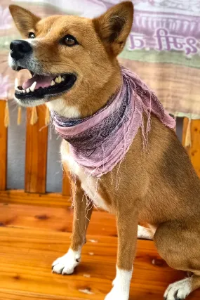 Pink Glitter Scarf