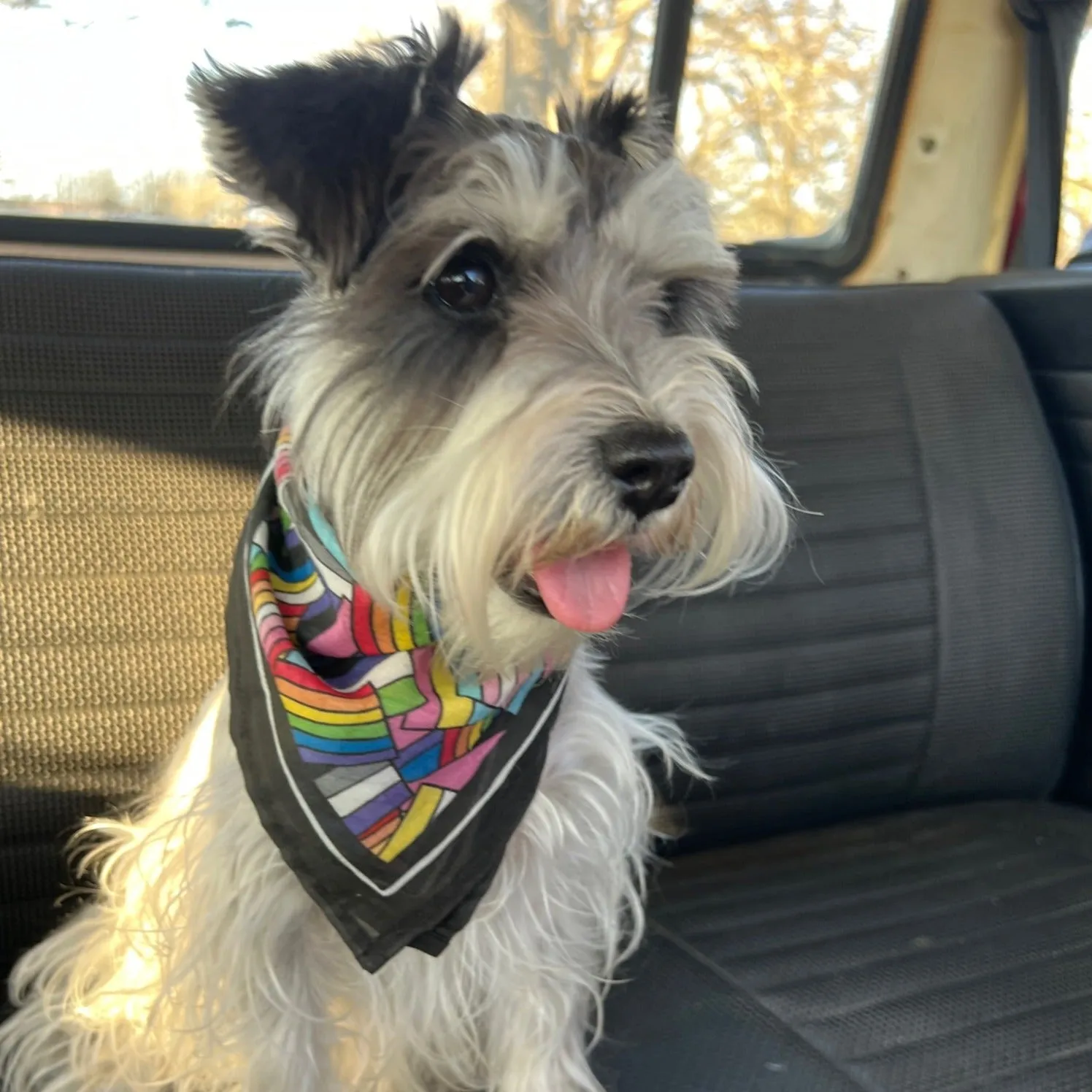 Pocket Handker Bandana: Pride