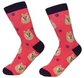 Pomeranian Socks