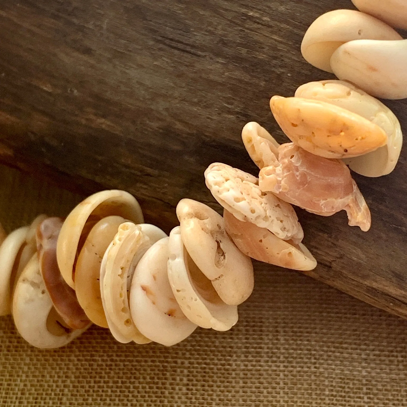 Strand of small Shell Beads, Mauritania