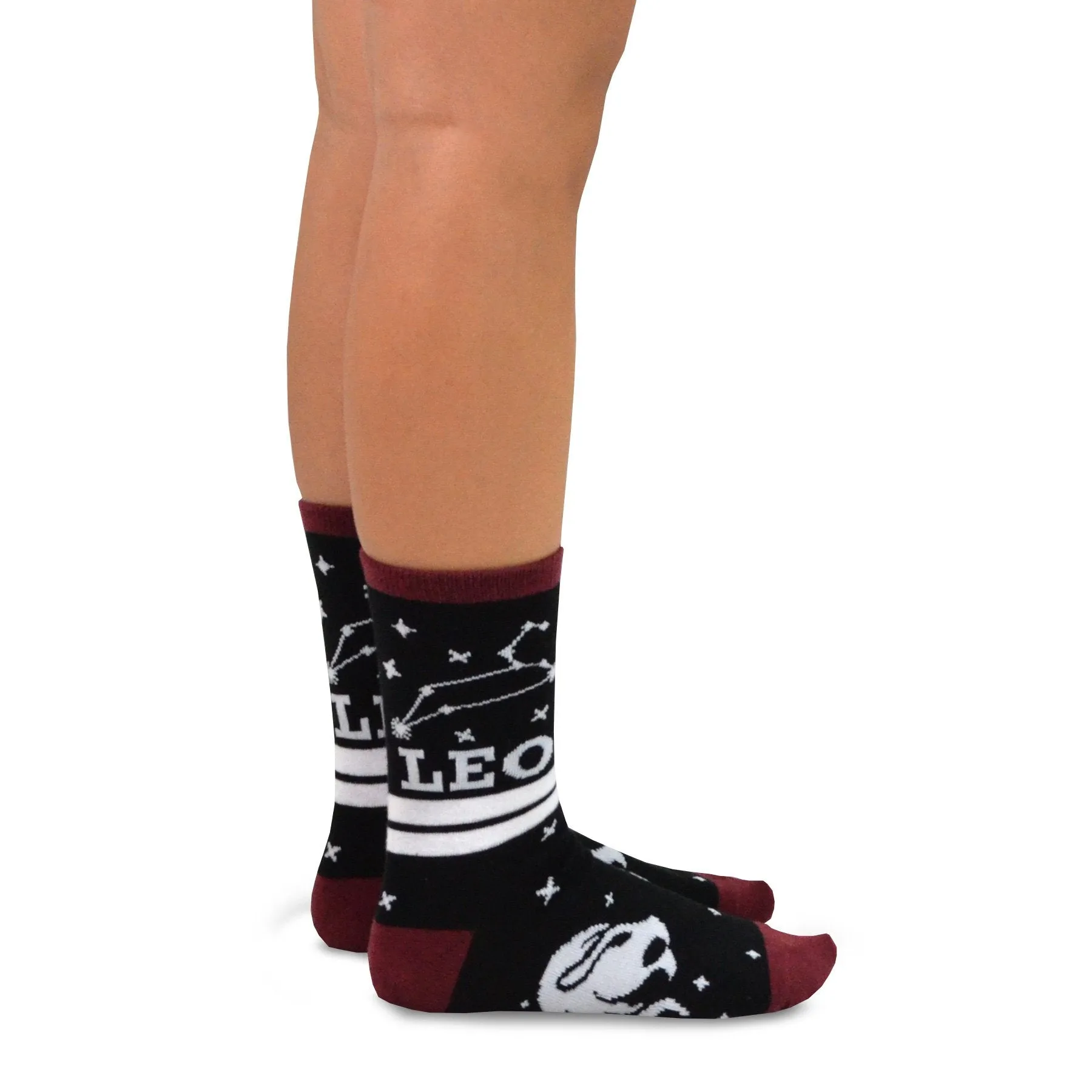 TeeHee Socks Women's Novelty Polyester Crew Horoscope 12-Pack (12276)